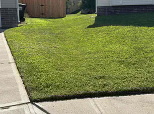 Robert S.'s grass maintenance service result