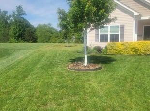 Mike K.'s turf maintenance service result