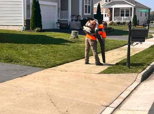 Daniel S.'s turf care service result