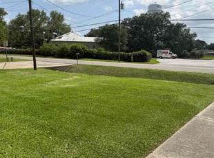 Katherine M.'s grass cutting service result