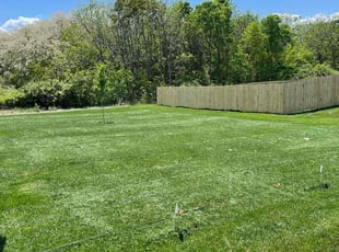 Linda M.'s turf care service result