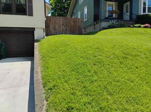 Aaliyah N.'s grass cutting service result