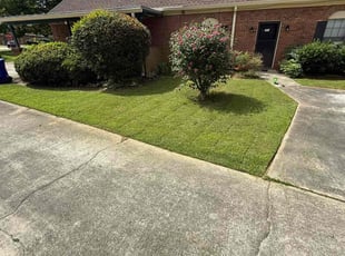 Aldo L.'s lawn maintenance service result