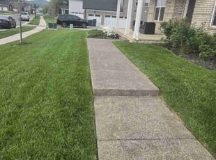 Les &.'s lawn care service result