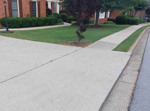 Francina J.'s lawn care service result