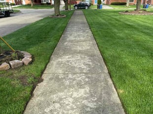 Mandy P.'s grass maintenance service result