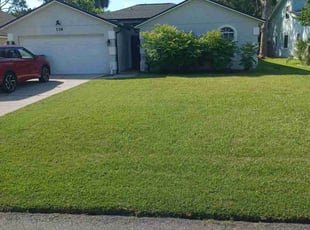 Stacy B.'s lawn maintenance service result
