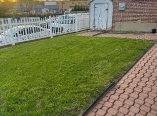 John W.'s lawn care services service result