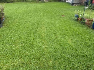 Evan F.'s lawn care services service result