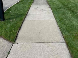 Anne C.'s lawn service service result