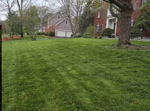 Sang R.'s lawn service service result