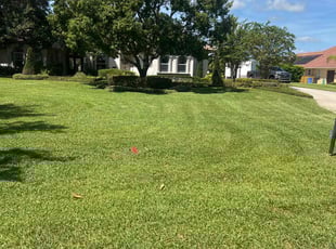 Karen L.'s turf care service result