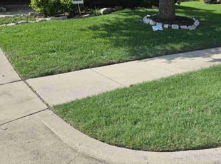 Debra W.'s turf maintenance service result