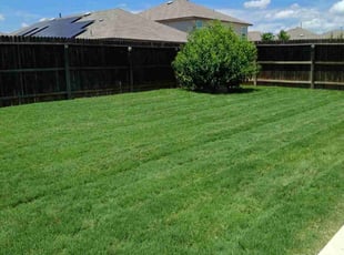 Fany C.'s yard maintenance service result