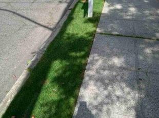 Michele B.'s grass cutting service result