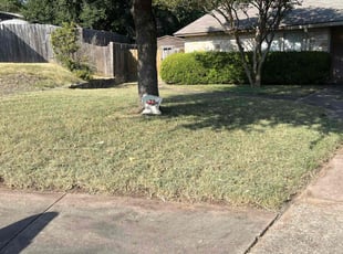 Joseph F.'s lawn service service result
