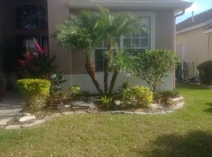 Bree N.'s Bush Trimming service result