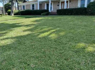 Patricia S.'s lawn care services service result