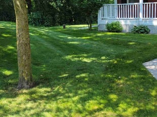 Karen S.'s lawn service service result