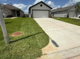 Barry D.'s turf care service result