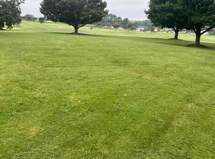 Carlton C.'s grass maintenance service result