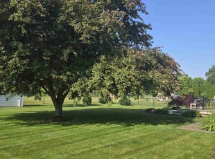 Suzanne S.'s lawn care service result