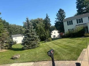 Melissa B.'s grass maintenance service result