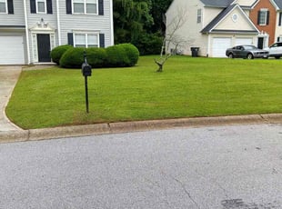 Haoua O.'s lawn care service result