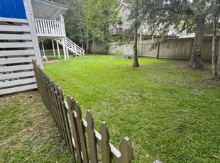 Tori D.'s lawn care service result