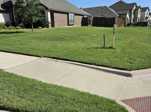 Karim A.'s lawn maintenance service result