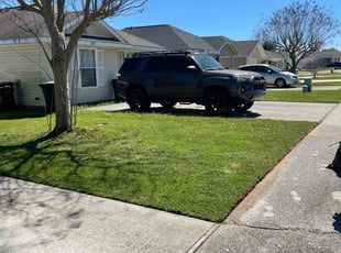 Stanley N.'s turf maintenance service result