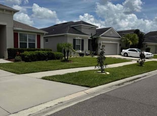 Chris C.'s turf maintenance service result