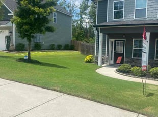 Sarita L.'s lawn maintenance service result