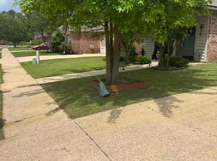 Kelwyn H.'s lawn maintenance service result
