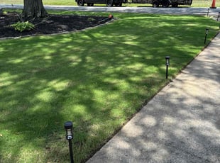 Bethany B.'s grass maintenance service result