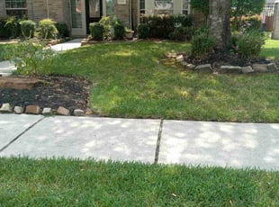 Alyssa V.'s lawn maintenance service result