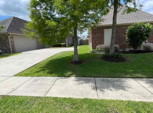 Bj R.'s grass maintenance service result