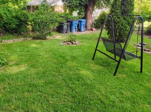 Sean F.'s turf maintenance service result