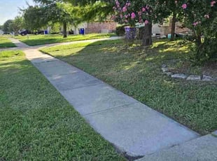 Dave N.'s lawn care services service result