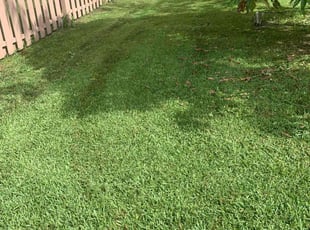 Calvin A.'s turf maintenance service result