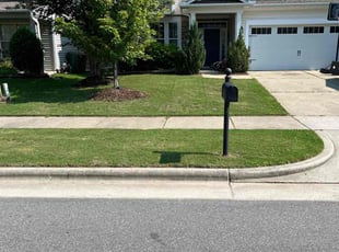 Johnny C.'s landscaping services service result