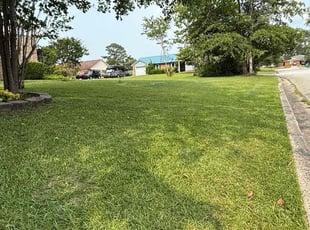 Al J.'s grass maintenance service result