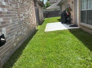 Devin M.'s grass cutting service result