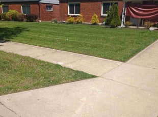 Grant W.'s turf maintenance service result