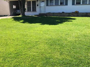 Ram C.'s grass maintenance service result