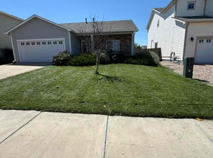 Nichole T.'s grass cutting service result