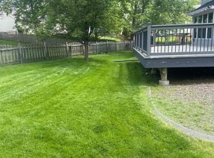 Elizabeth S.'s landscaping service result