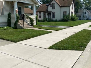 Wilma C.'s turf care service result