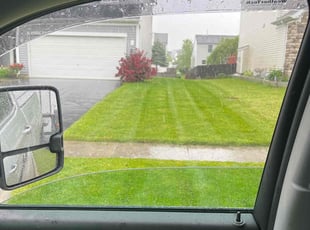 Mike A.'s lawn care service result