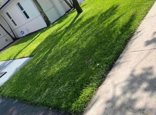 Diane S.'s lawn maintenance service result